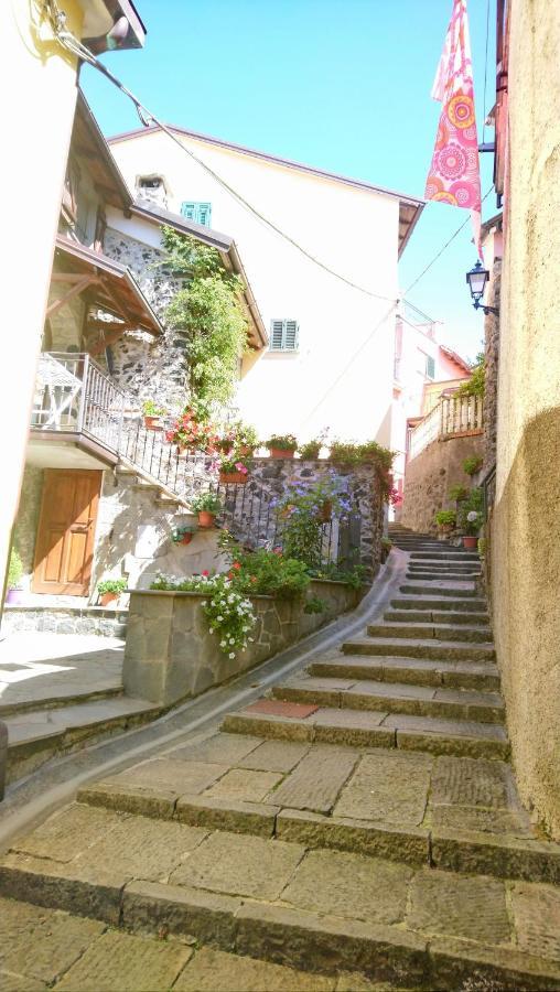Casafiorita Villa Mattarana Dış mekan fotoğraf